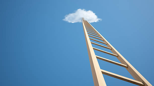 ladder sky business